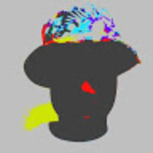 Meet your Posher, Youngdas